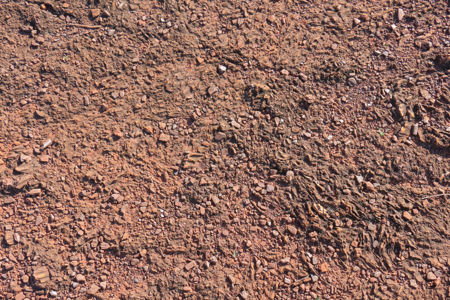 Iron Ore Exporter from India – Bripure Overseas