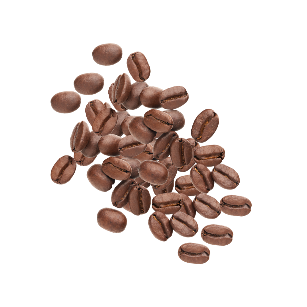 Indian Coffee Exporter