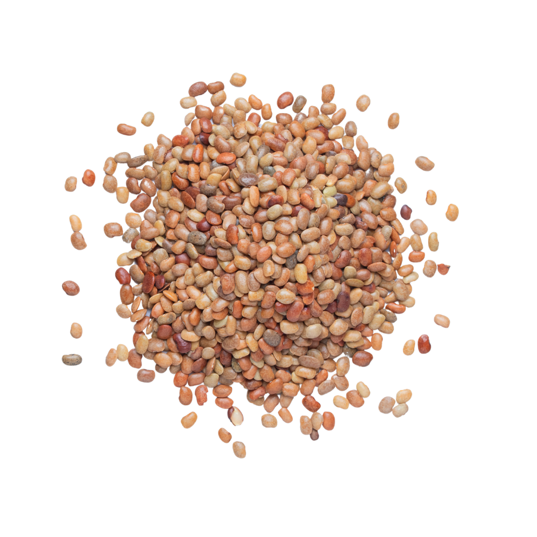 Horse Gram ( Kulthi Pulse )