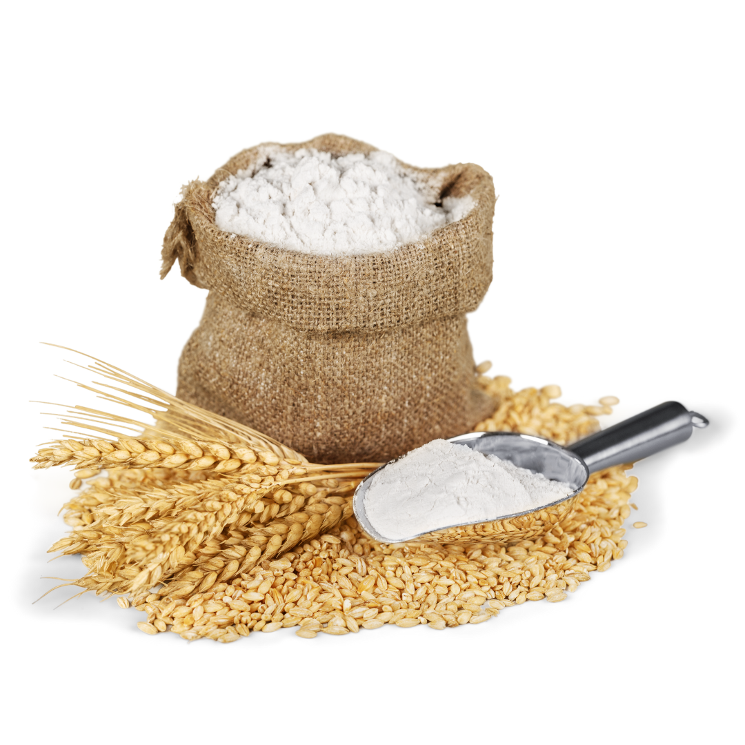 Wheat Flour