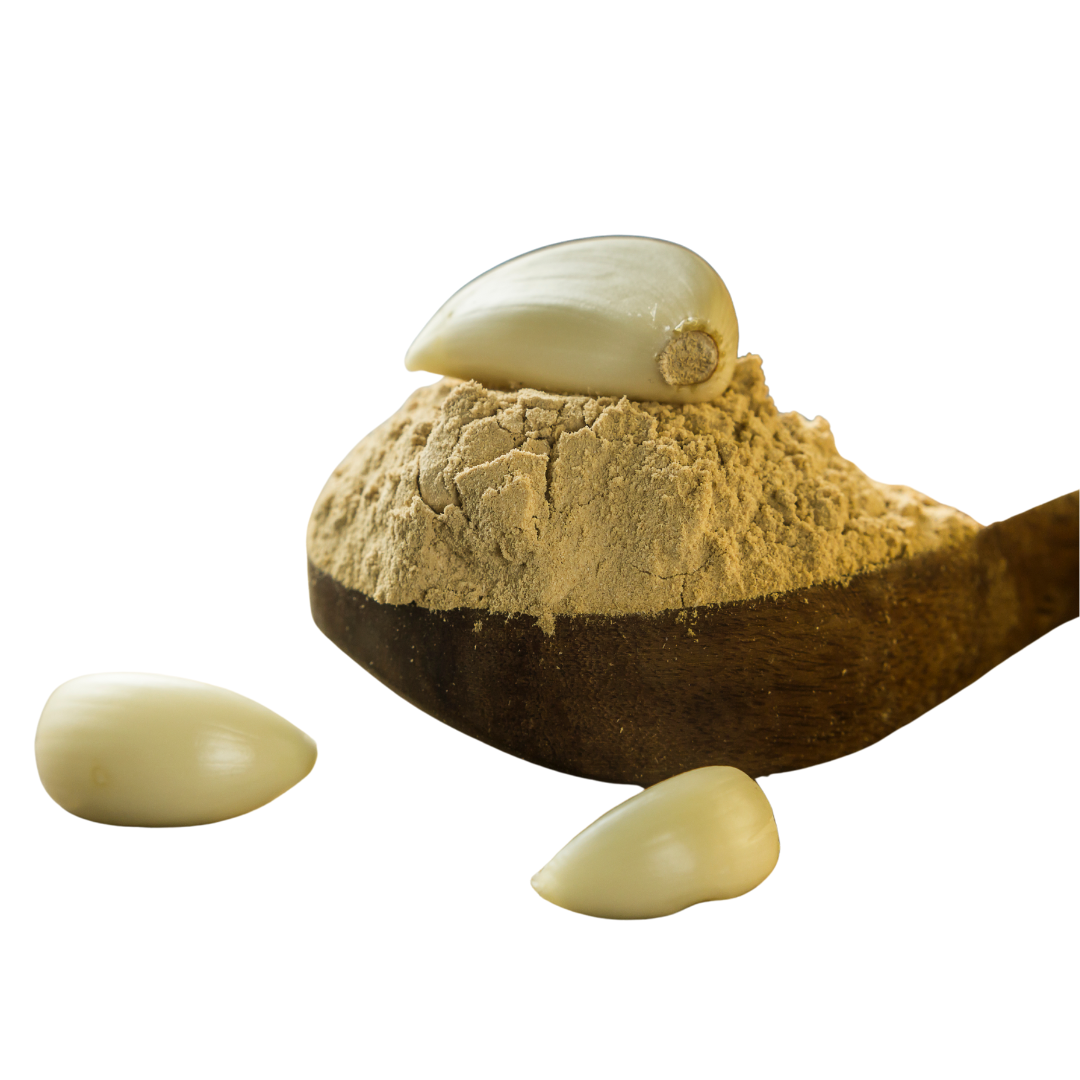 Garlic Powder