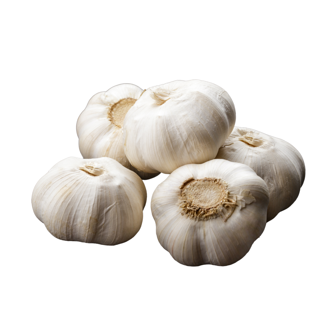Fresh Garlic