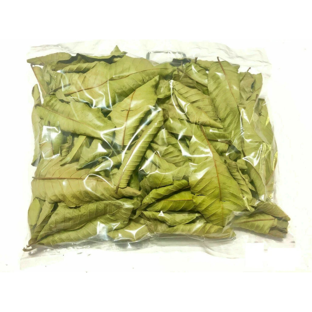 Dried Guava Leaves