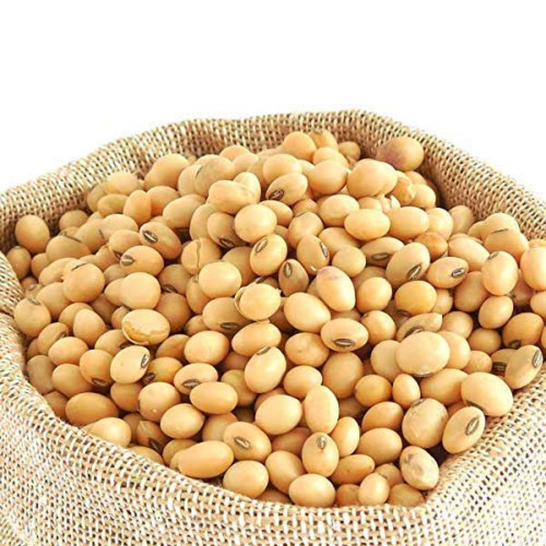 Soyabean
