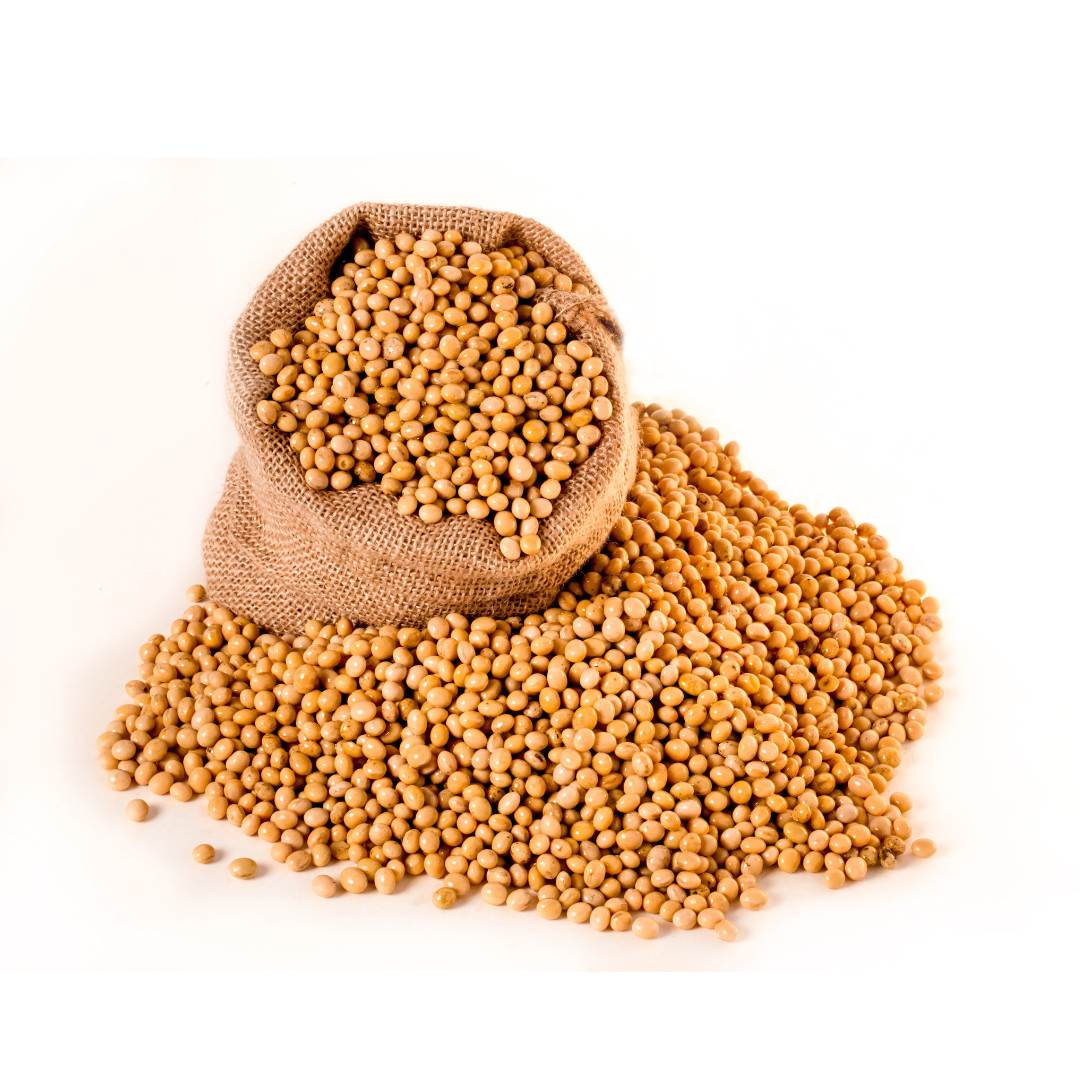 Yellow Mustard Seeds