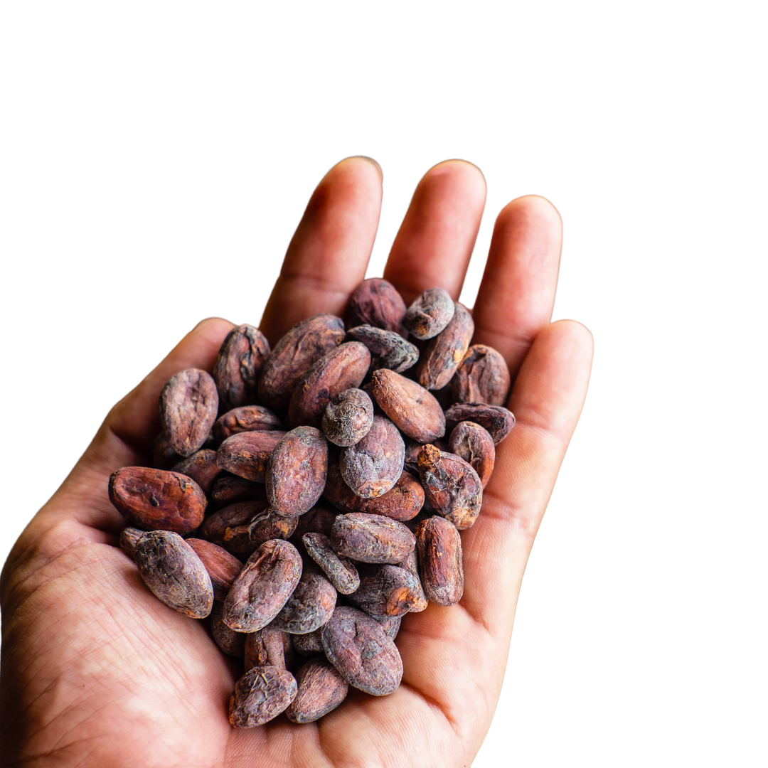 Raw Cocoa Beans