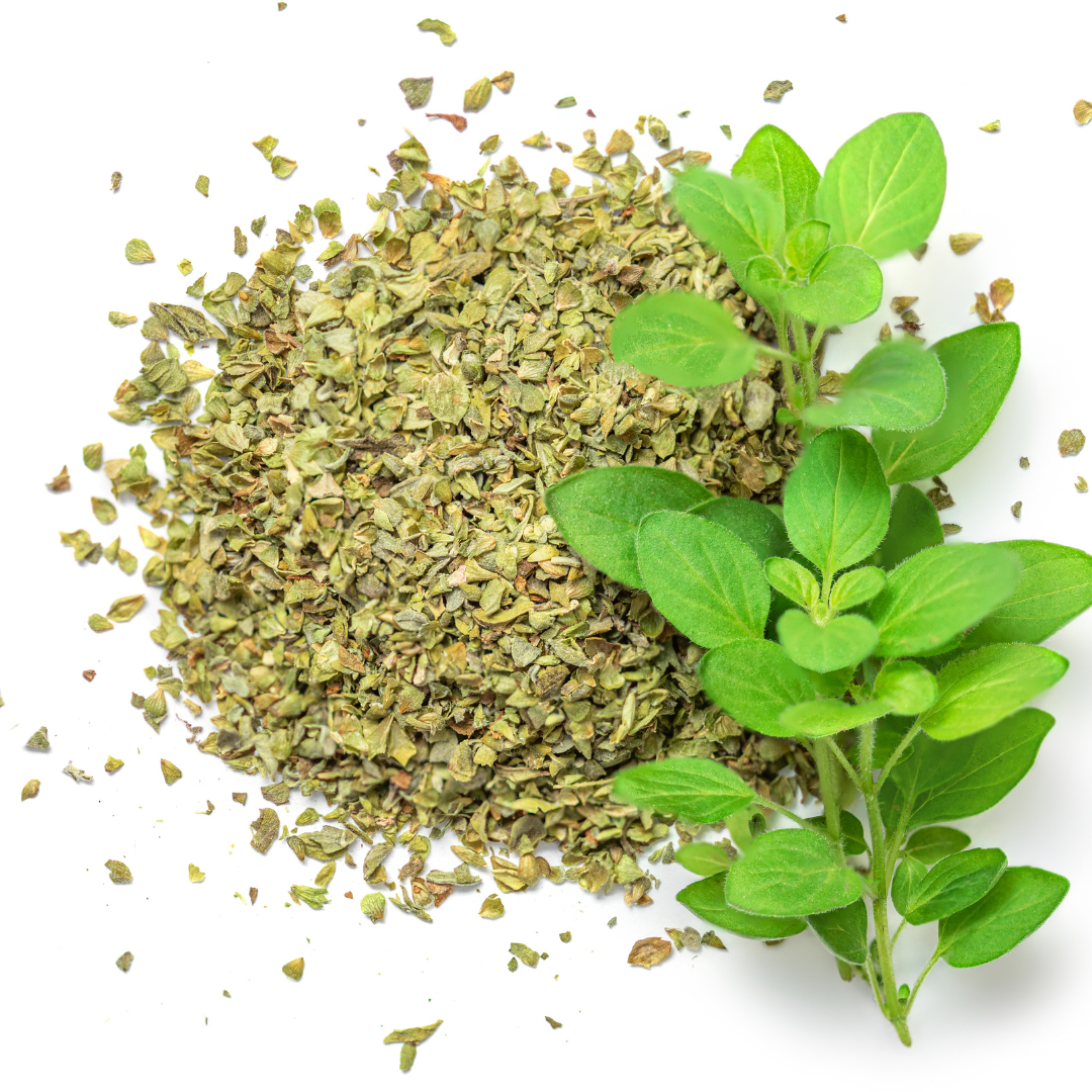 Oregano