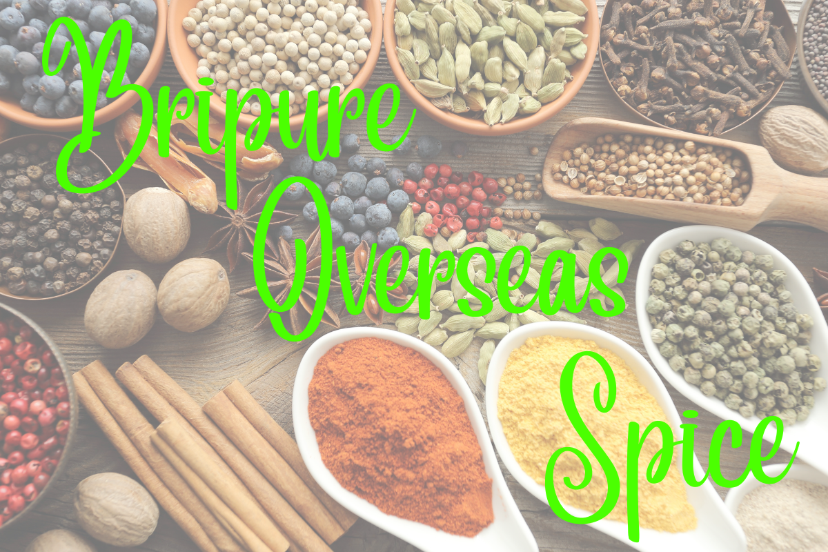 Top 10 Indian Spices Exported Globally – Why Bripure Overseas is a Leading Exporter