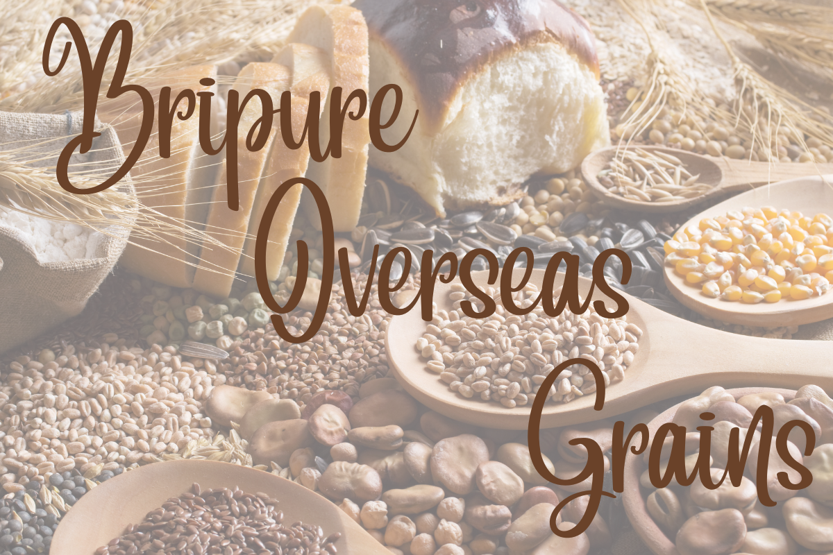 🏆 About Bripure Overseas – India’s Leading Agro Export Brand