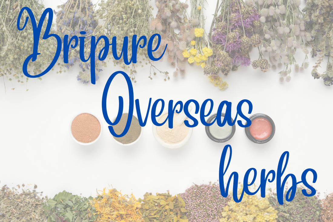 Top 5 Herbal Powders in Global Demand – Export With Bripure Overseas