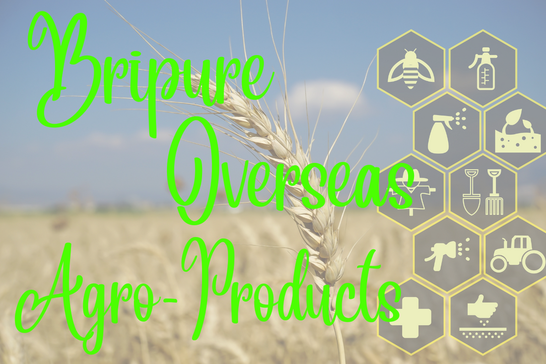 How to Import Organic Agro Products from India – Complete Guide by Bripure Overseas
