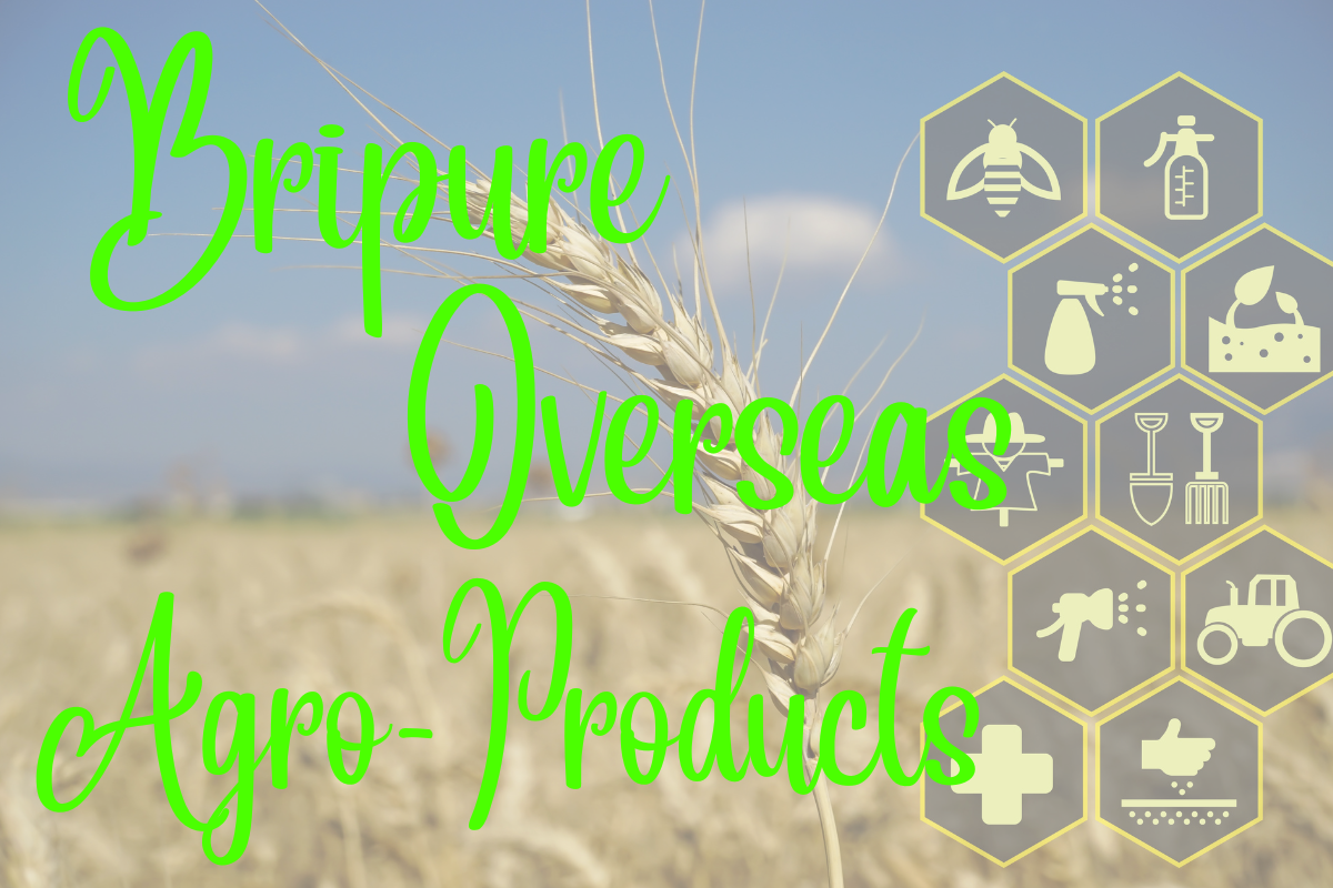 How to Import Organic Agro Products from India – Complete Guide by Bripure Overseas