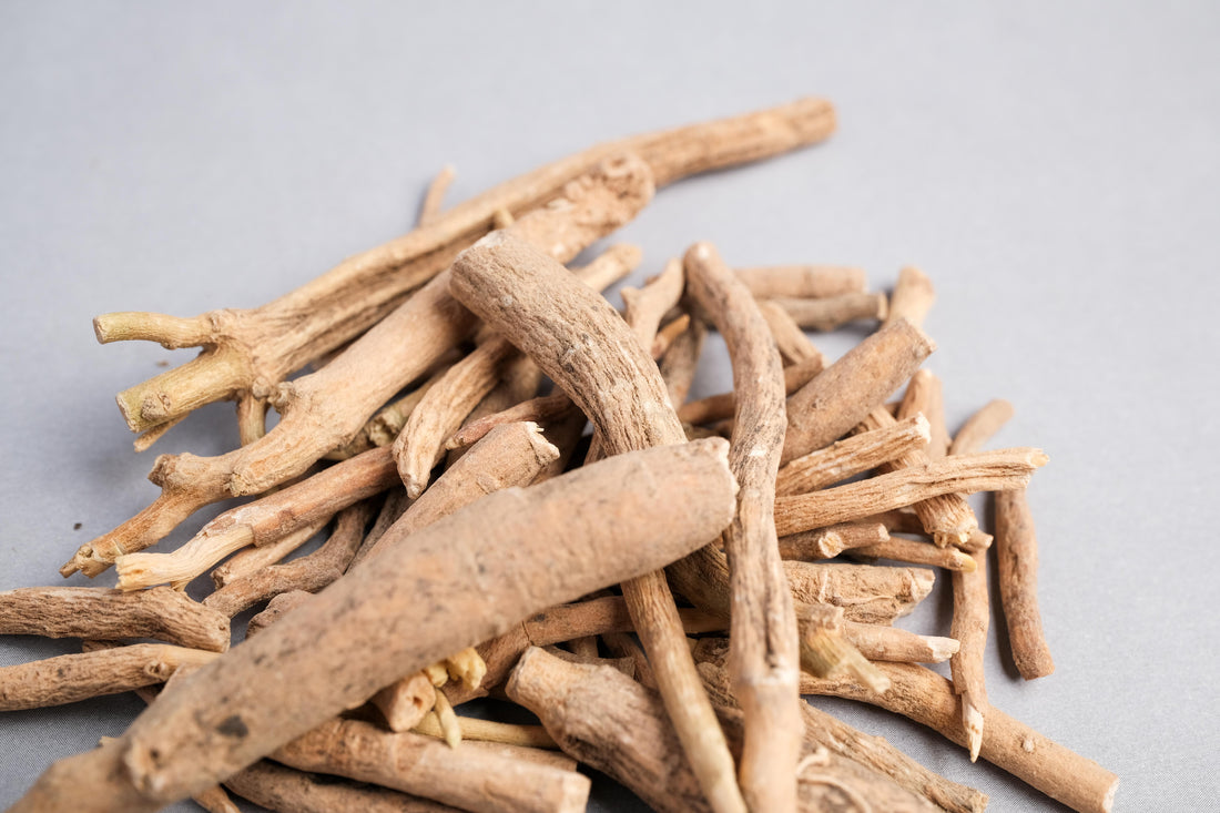 Leading Herbal Products Exporter from India – Bripure Overseas