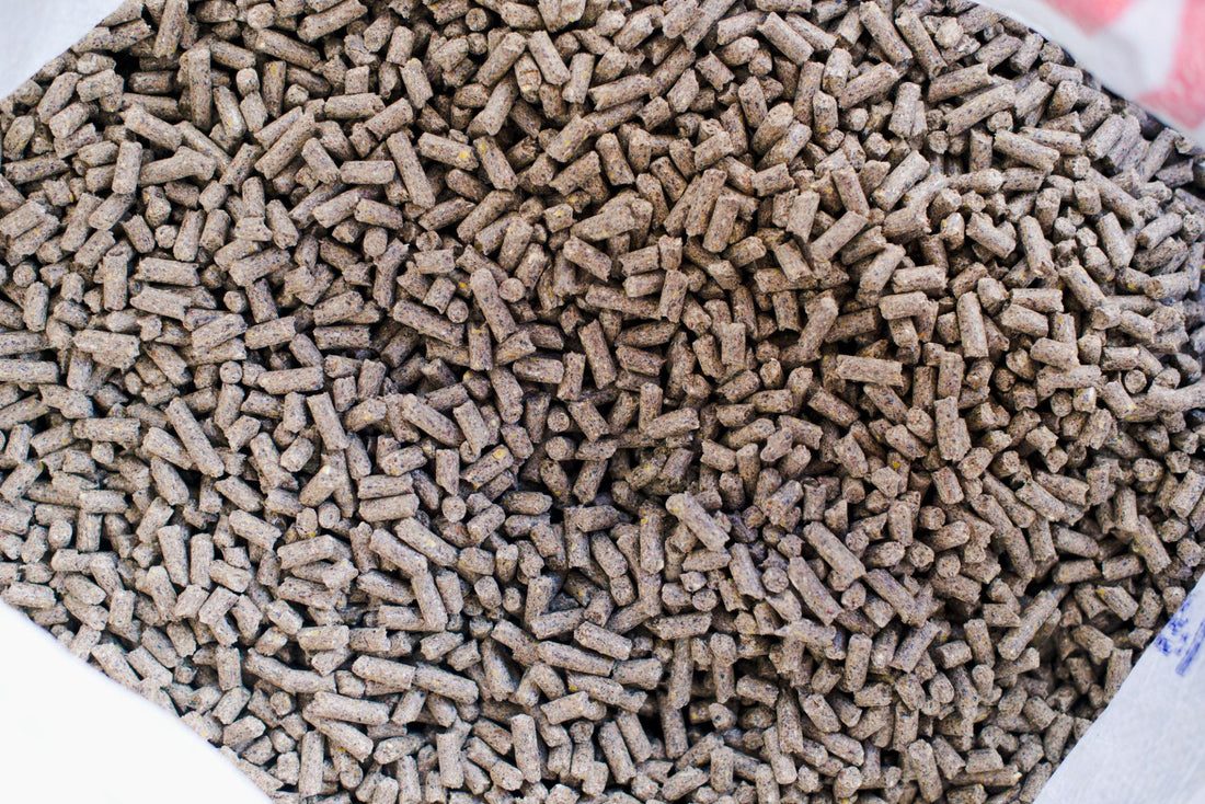 Animal Feed Exporter from India – Bripure Overseas