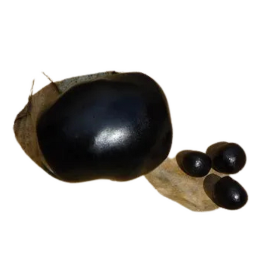 Shilajit
