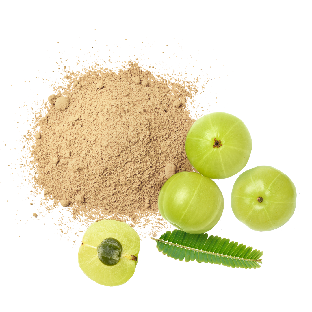 Amla (Gooseberry) Powder