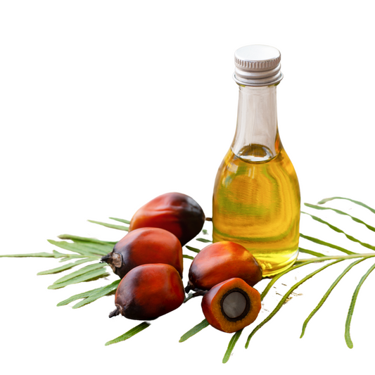 Palm Oil Exporters From 
