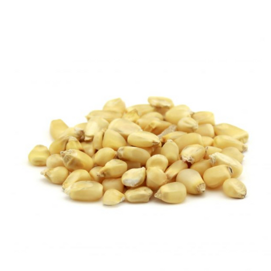 White Dried Maize