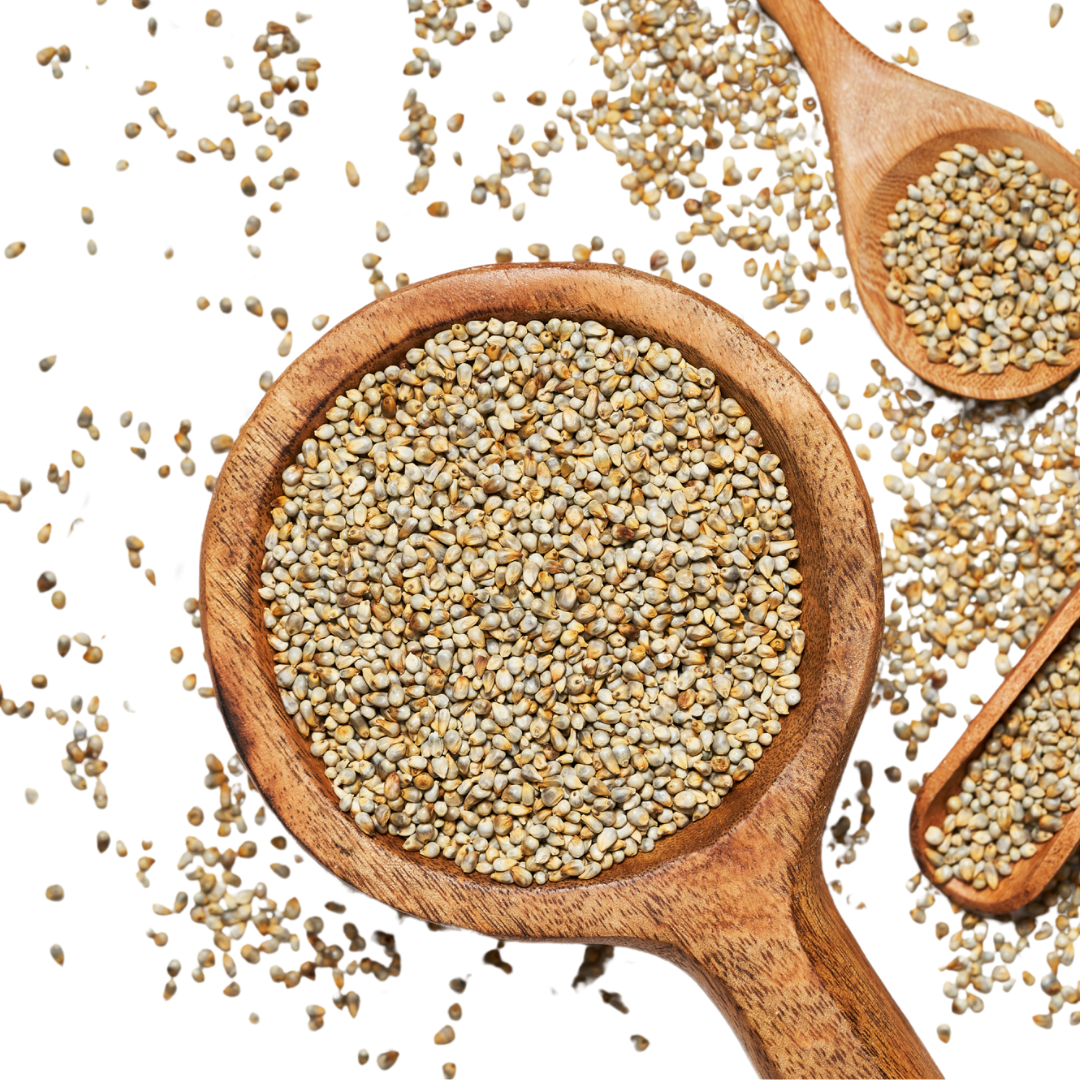 Millets ( Bajra )