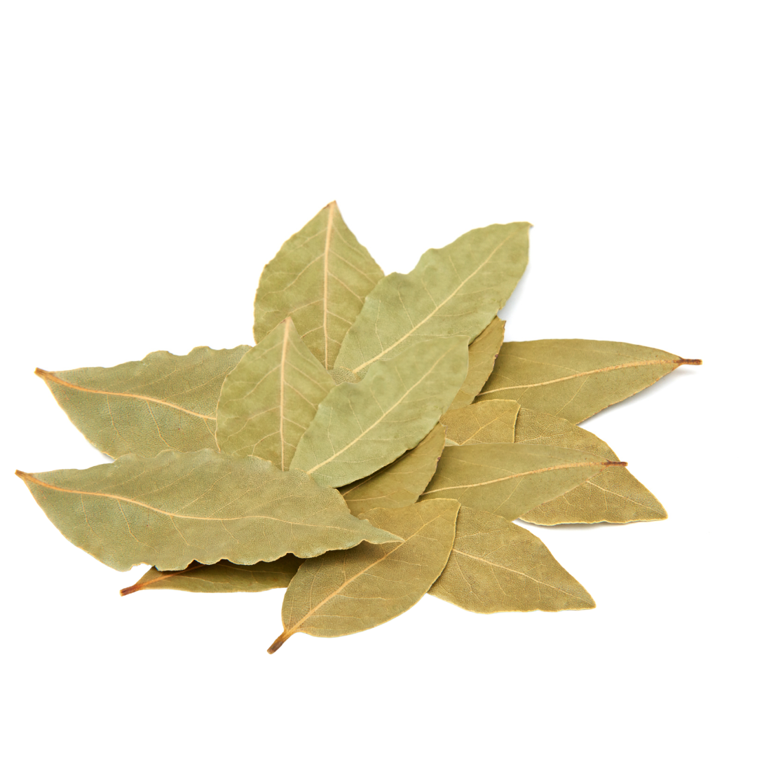 Bay Leaf